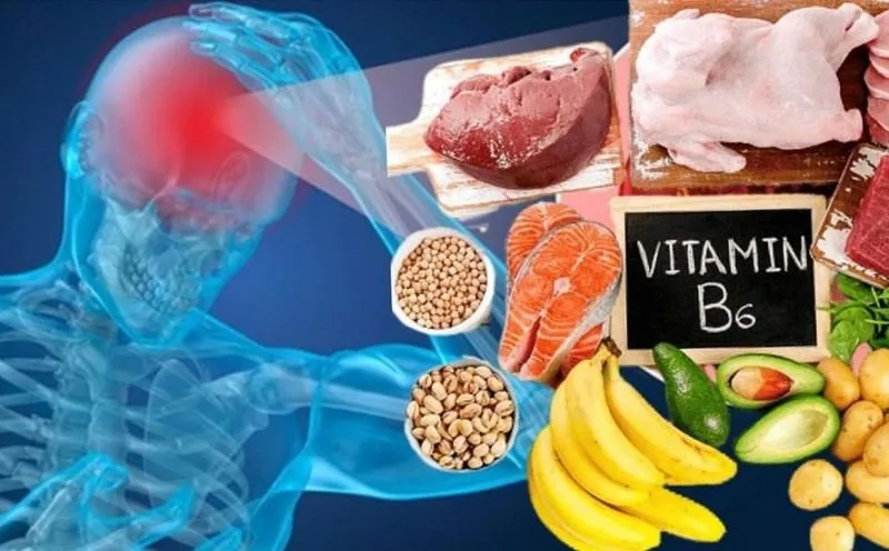 Vai trò chủ yếu của vitamin b6 trong việc hỗ trợ hệ thần kinh