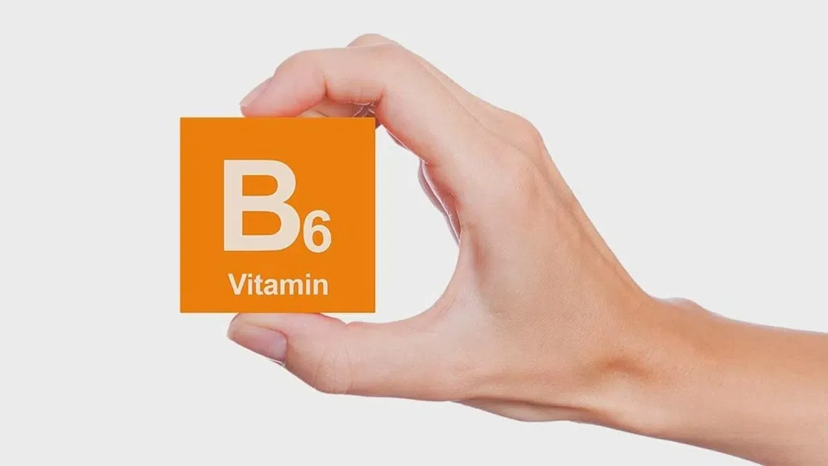 Vitamin b6 hỗ trợ chuyển hóa và duy trì năng lượng cho cơ thể
